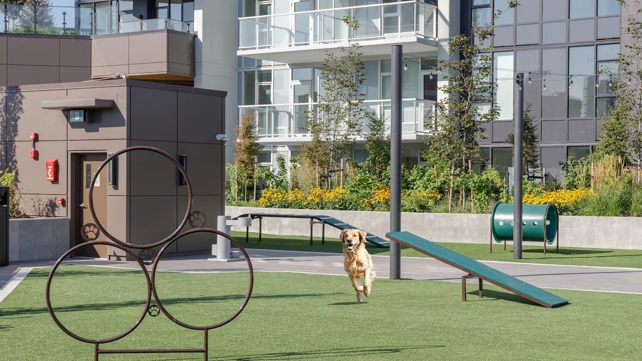 Dog run